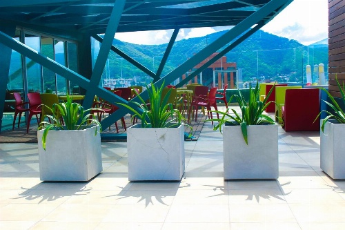 Brizo Salta image 4